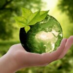 Sustainable Snacking: The Benefits of Choosing Eco-Friendly Products