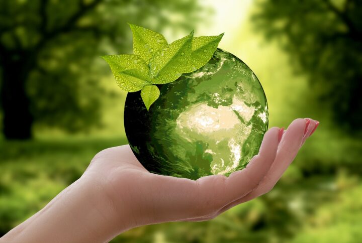 Sustainable Snacking: The Benefits of Choosing Eco-Friendly Products